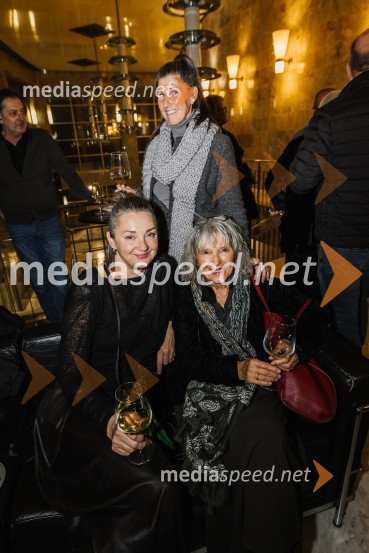 V iskanju izgubljenega jezika, premiera v SNG Nova Gorica