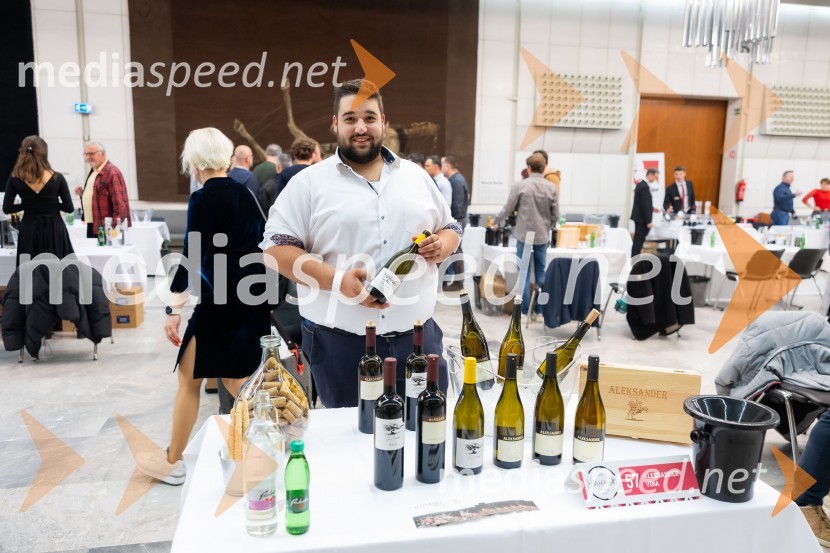 26. Slovenski festival vin