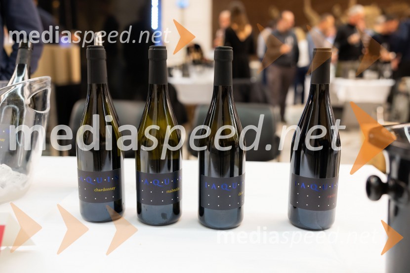 26. Slovenski festival vin