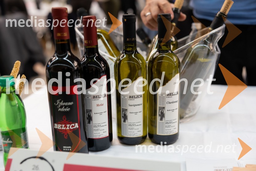 26. Slovenski festival vin