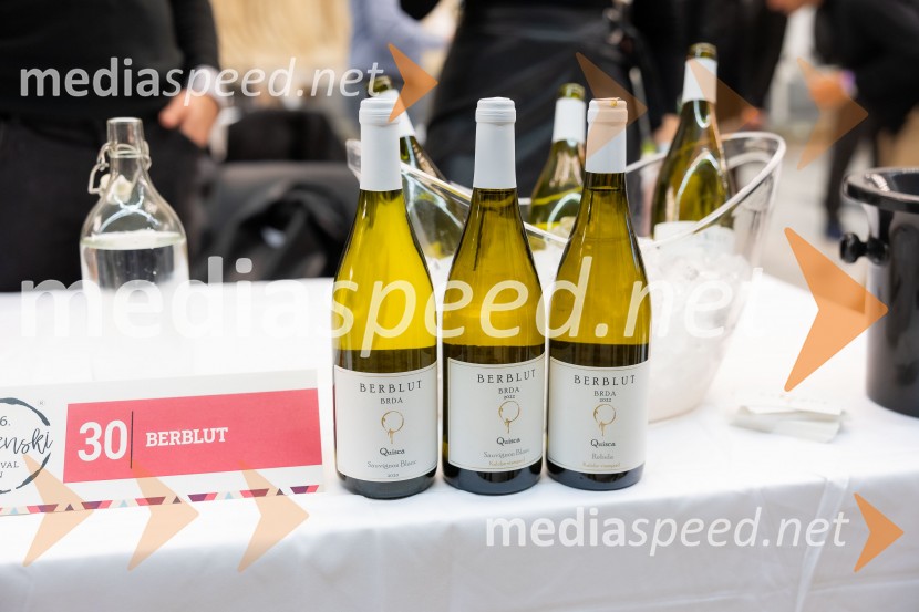 26. Slovenski festival vin