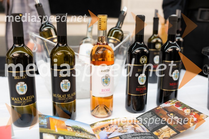 26. Slovenski festival vin