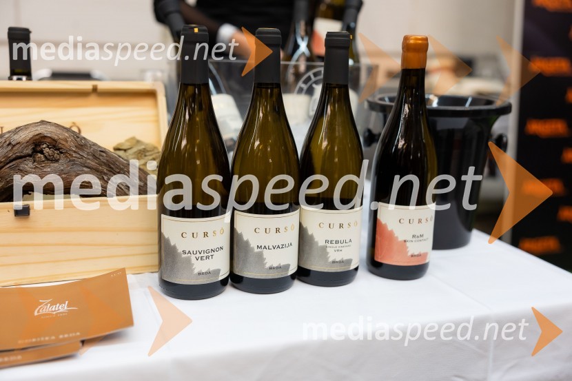 26. Slovenski festival vin