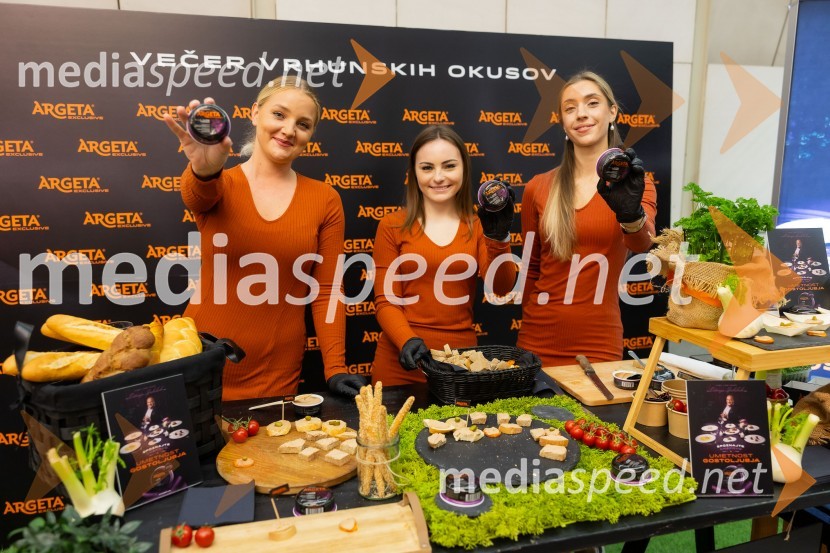 26. Slovenski festival vin