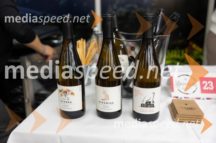 26. Slovenski festival vin