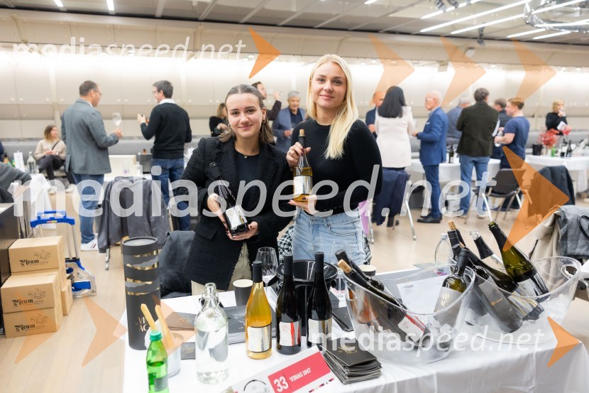 26. Slovenski festival vin