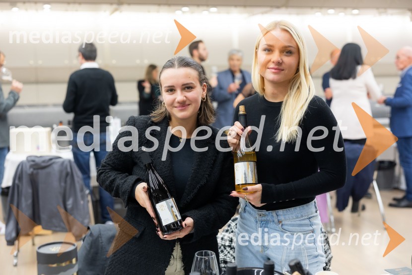 26. Slovenski festival vin