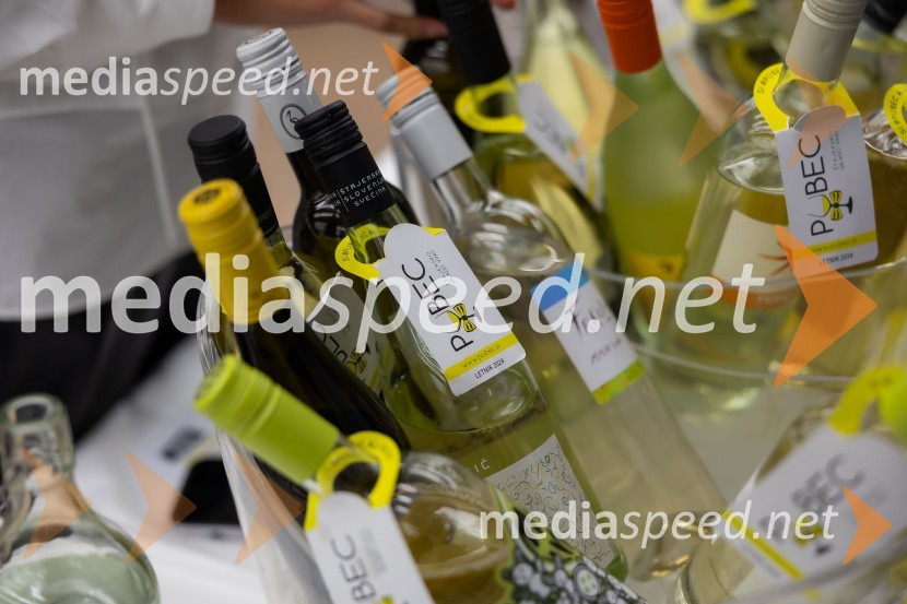 26. Slovenski festival vin