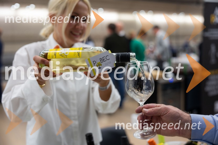 26. Slovenski festival vin