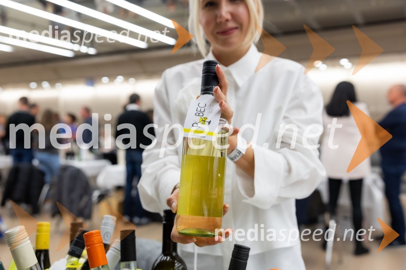 26. Slovenski festival vin