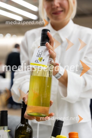 26. Slovenski festival vin