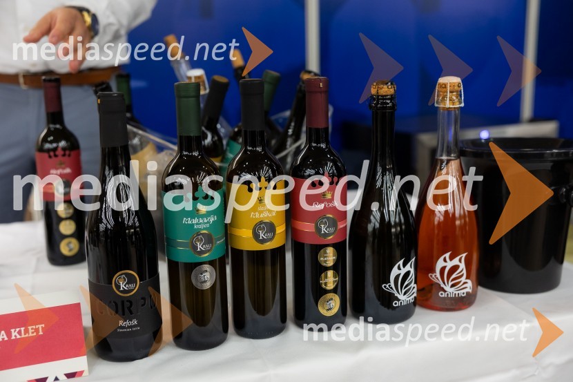 26. Slovenski festival vin