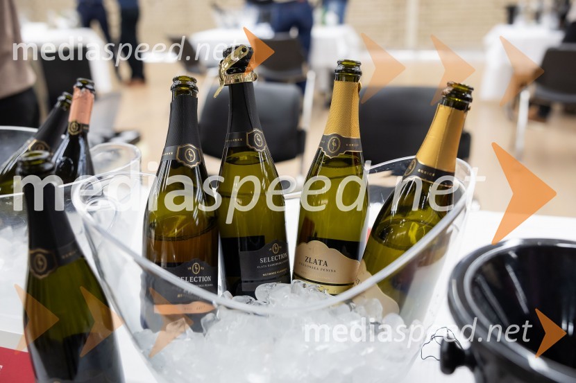 26. Slovenski festival vin