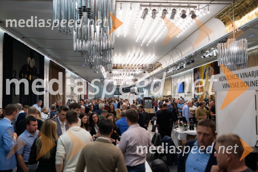 26. Slovenski festival vin