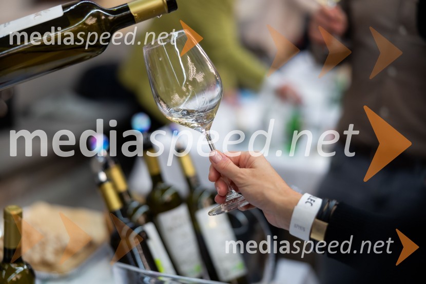 26. Slovenski festival vin