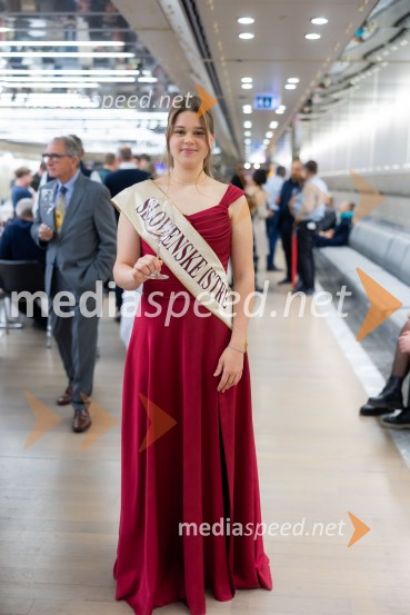 26. Slovenski festival vin