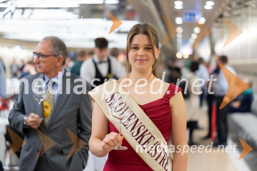 26. Slovenski festival vin