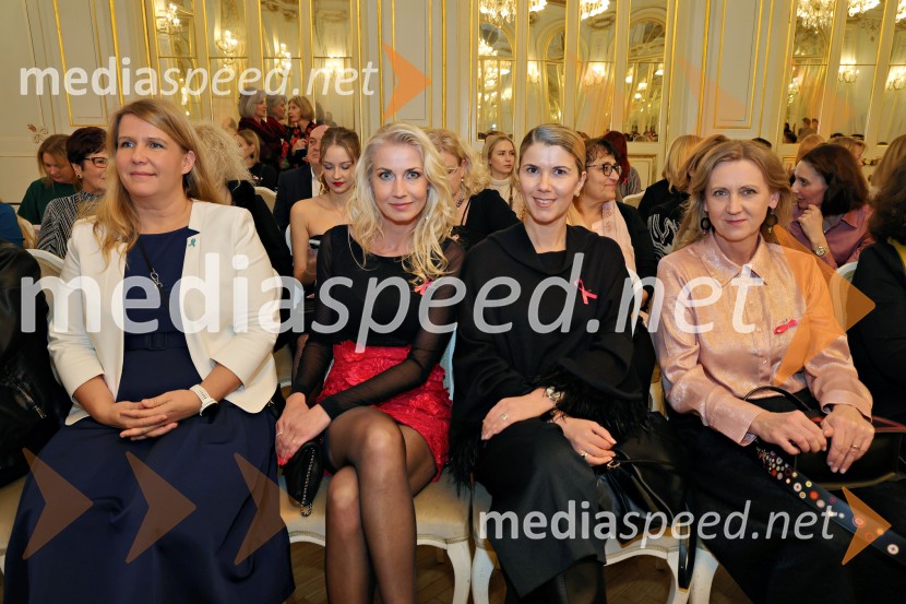 Humanitarna modna revija Roza oktober in moška moda