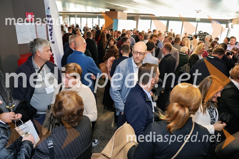 Demokrati, ustanovni kongres stranke Anžeta Logarja