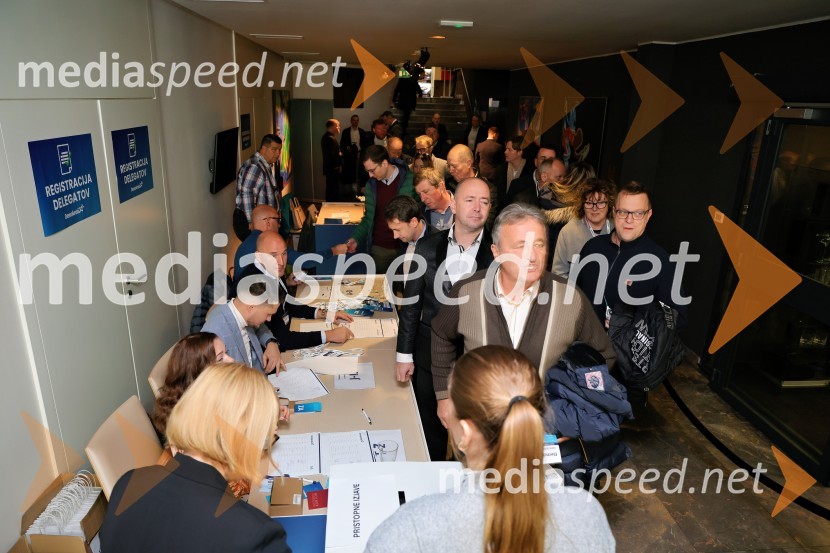 Demokrati, ustanovni kongres stranke Anžeta Logarja