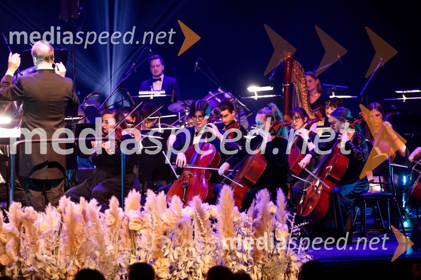 30. Gala koncert Radia Ognjišče