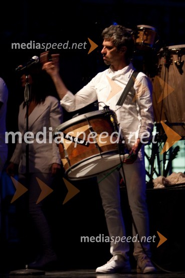 Član spremljevalna skupine Davida ByrneaDavid Byrne, koncert