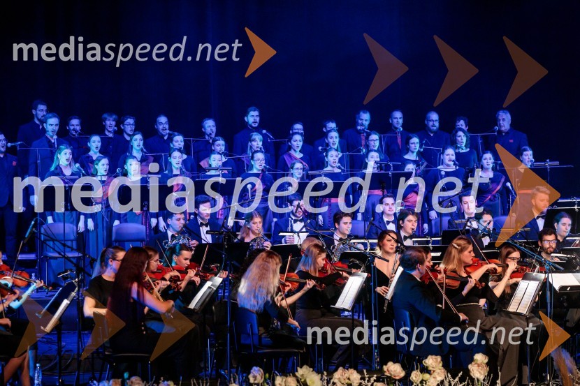 30. Gala koncert Radia Ognjišče