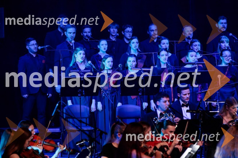 30. Gala koncert Radia Ognjišče