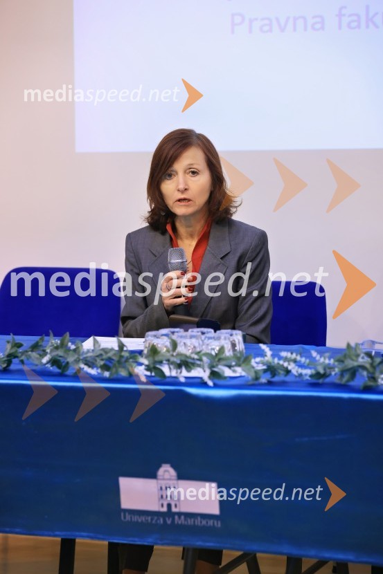 Strateška energetska konferenca Univerze v Mariboru