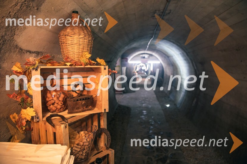 Vinska pot v rovih pod starim Kranjem 2024, petek