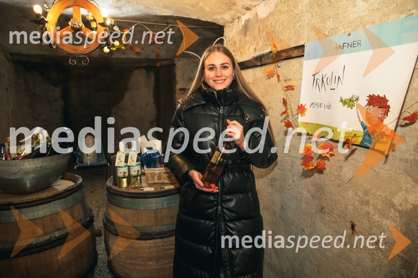 Vinska pot v rovih pod starim Kranjem 2024, petek