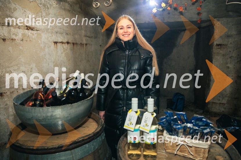 Vinska pot v rovih pod starim Kranjem 2024, petek