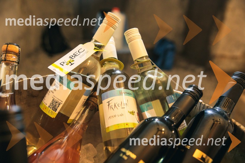 Vinska pot v rovih pod starim Kranjem 2024, petek