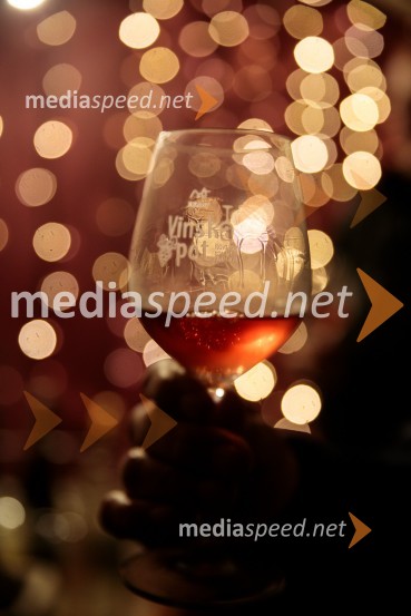 Vinska pot v rovih pod starim Kranjem 2024, petek