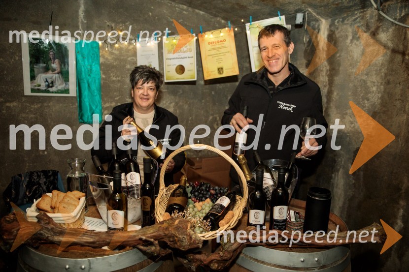 Vinska pot v rovih pod starim Kranjem 2024, petek