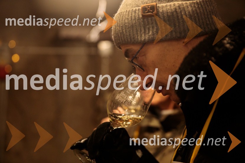 Vinska pot v rovih pod starim Kranjem 2024, petek