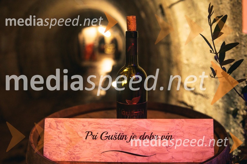 Vinska pot v rovih pod starim Kranjem 2024, petek