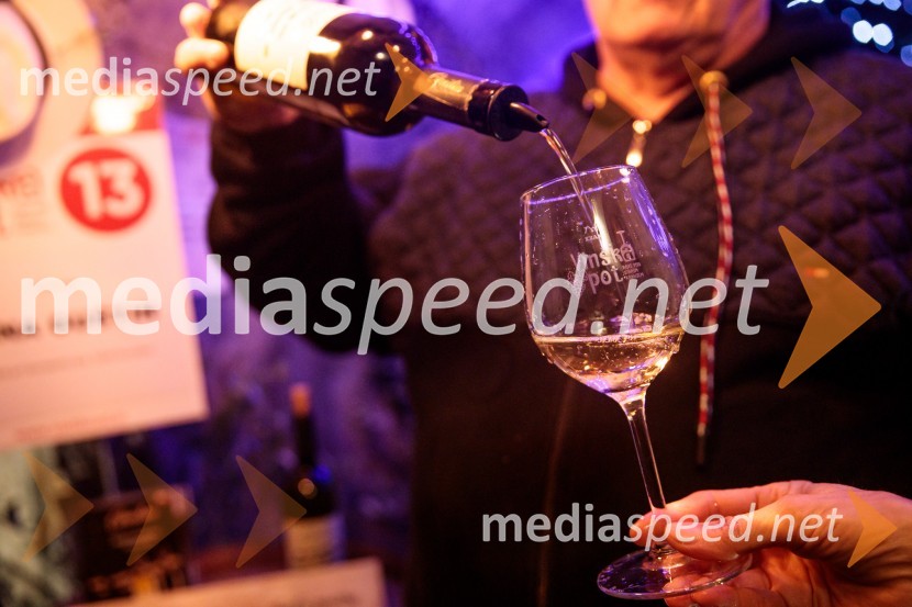 Vinska pot v rovih pod starim Kranjem 2024, petek