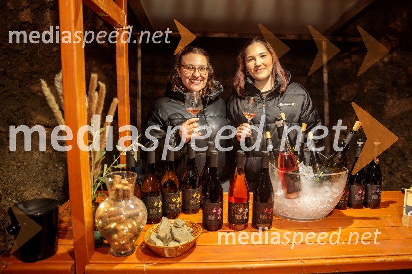 Vinska pot v rovih pod starim Kranjem 2024, petek