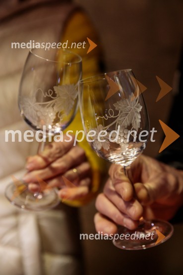 Vinska pot v rovih pod starim Kranjem 2024, petek