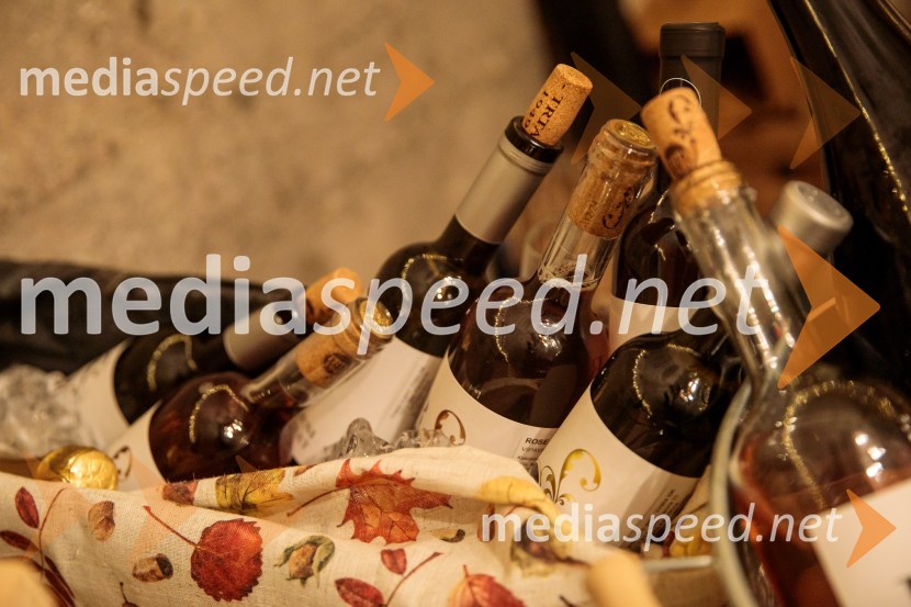 Vinska pot v rovih pod starim Kranjem 2024, petek