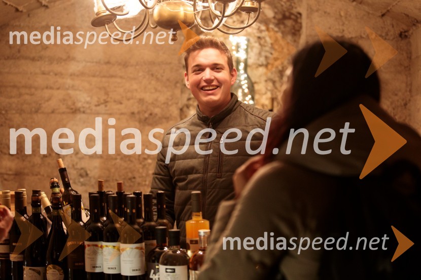 Vinska pot v rovih pod starim Kranjem 2024, petek