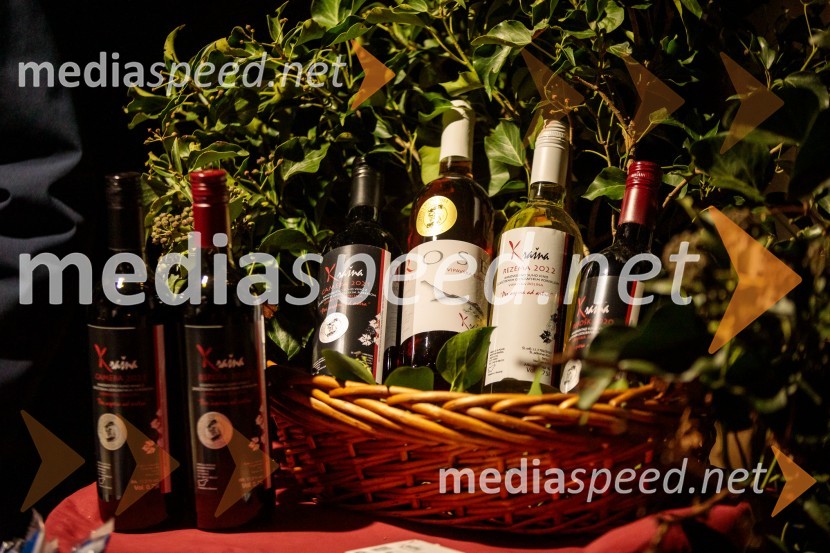 Vinska pot v rovih pod starim Kranjem 2024, petek