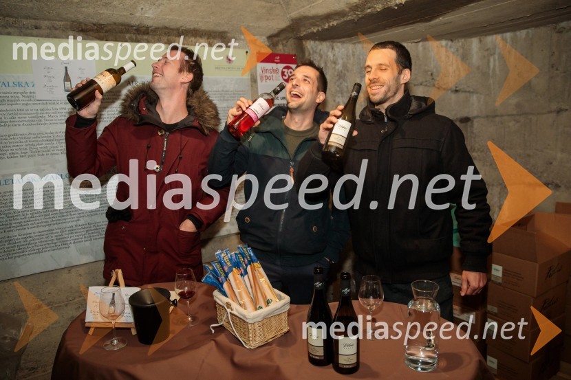 Vinska pot v rovih pod starim Kranjem 2024, petek