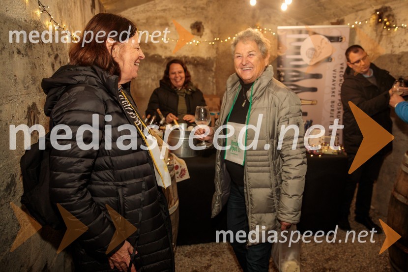 Vinska pot v rovih pod starim Kranjem 2024, petek
