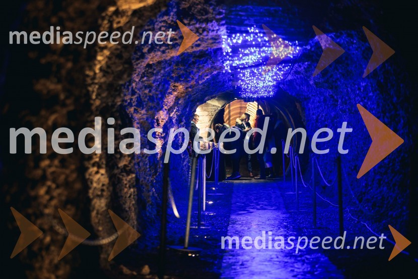 Vinska pot v rovih pod starim Kranjem 2024, petek