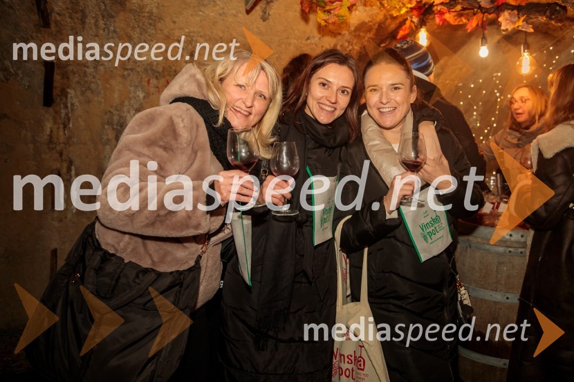 Vinska pot v rovih pod starim Kranjem 2024, petek