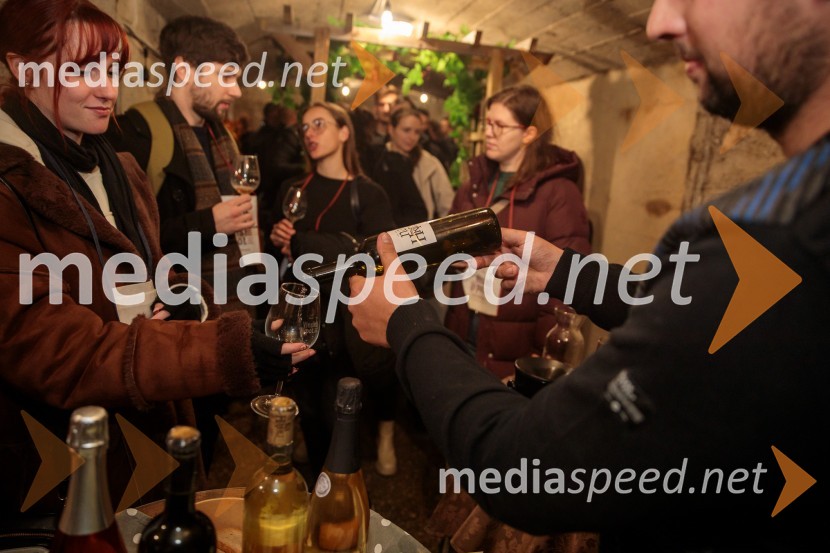 Vinska pot v rovih pod starim Kranjem 2024, petek