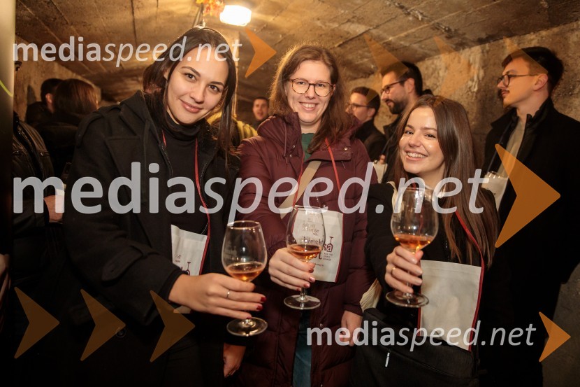 Vinska pot v rovih pod starim Kranjem 2024, petek