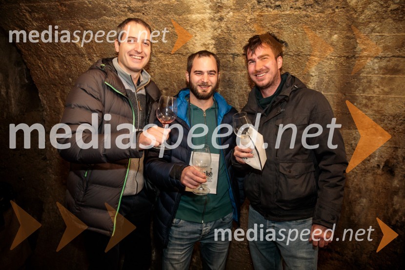 Vinska pot v rovih pod starim Kranjem 2024, petek